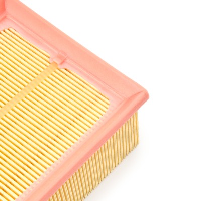 Luftfilter RIDEX 8A0004P 8A0004P - foto 18