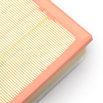 Luftfilter RIDEX 8A0251 8A0251 - foto 10