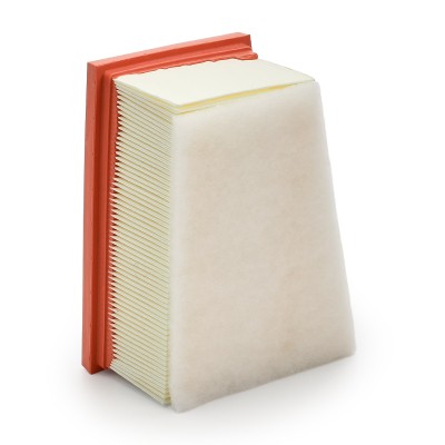 Luftfilter RIDEX 8A0080 8A0080 - foto 9