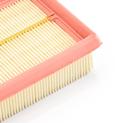 Luftfilter RIDEX 8A0054 8A0054 - foto 10