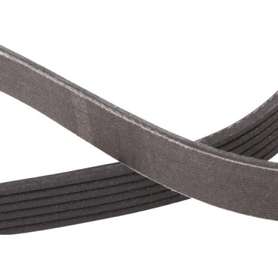 Keilrippenriemen RIDEX 305P0178P 305P0178P - foto 5