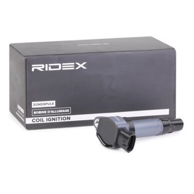 Zündspule RIDEX 689C0301 689C0301 - foto 2