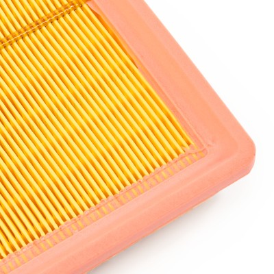 Luftfilter RIDEX 8A0739 8A0739 - foto 10