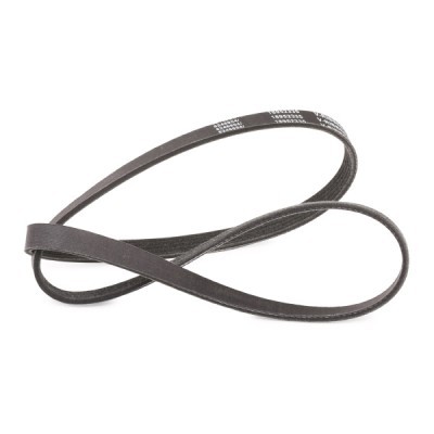 Keilrippenriemen RIDEX 305P0156P 305P0156P - foto 3