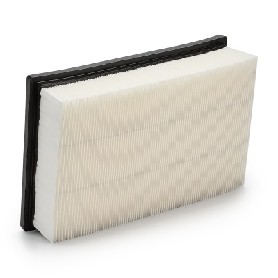 Luftfilter RIDEX 8A0046 8A0046 - foto 9