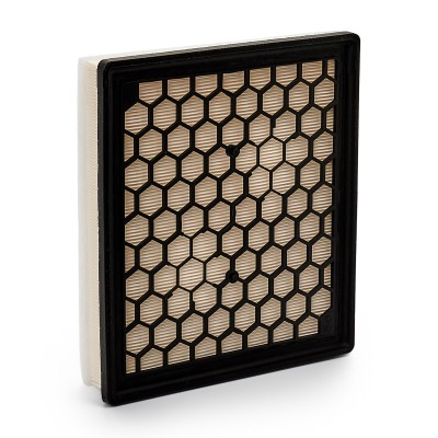 Luftfilter RIDEX 8A0261 8A0261 - foto 8
