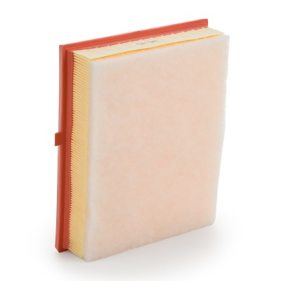 Luftfilter RIDEX 8A0661 8A0661 - foto 9