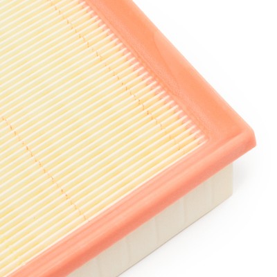 Luftfilter RIDEX 8A0866 8A0866 - foto 10