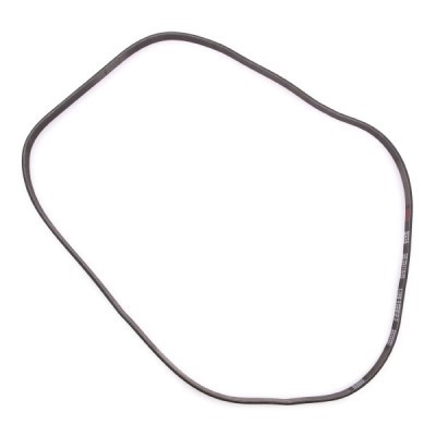Keilrippenriemen RIDEX 305P0160P 305P0160P - foto 4