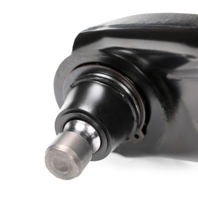 Querlenker RIDEX 273C0156 273C0156 - foto 7