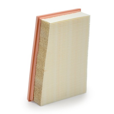 Luftfilter RIDEX 8A0058 8A0058 - foto 10