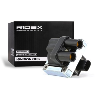 Zündspule RIDEX 689C0012 689C0012 - foto 2