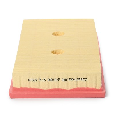 Luftfilter RIDEX 8A0183P 8A0183P - foto 4