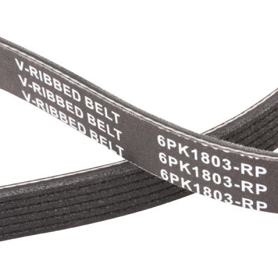 Keilrippenriemen RIDEX 305P0086P 305P0086P - foto 5