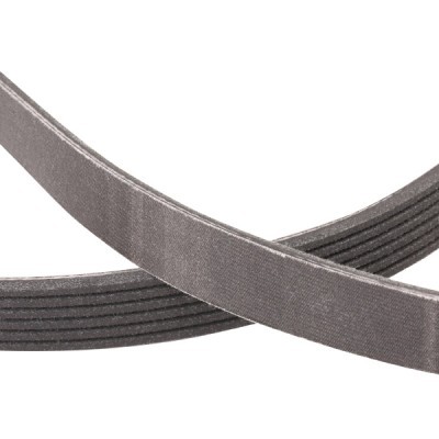 Keilrippenriemen RIDEX 305P0298P 305P0298P - foto 5
