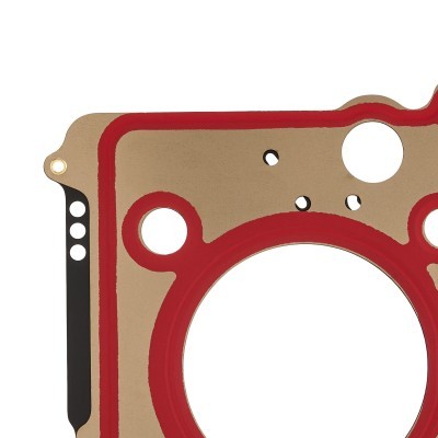 Zylinderkopfdichtung RIDEX 318G0404 318G0404 - foto 4