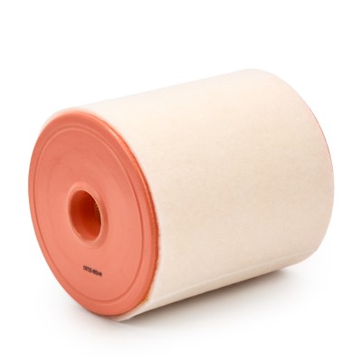Luftfilter RIDEX 8A0435 8A0435 - foto 9