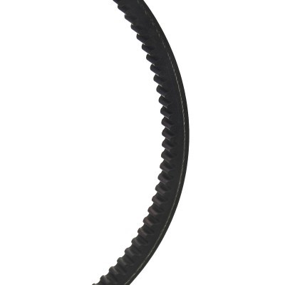 Keilriemen RIDEX 10C0053 10C0053 - foto 3