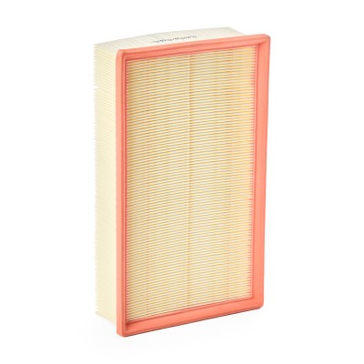 Luftfilter RIDEX 8A0353 8A0353 - foto 6
