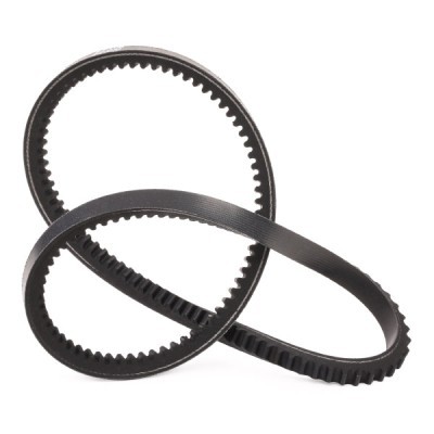 Keilriemen RIDEX 10C0027P 10C0027P - foto 3