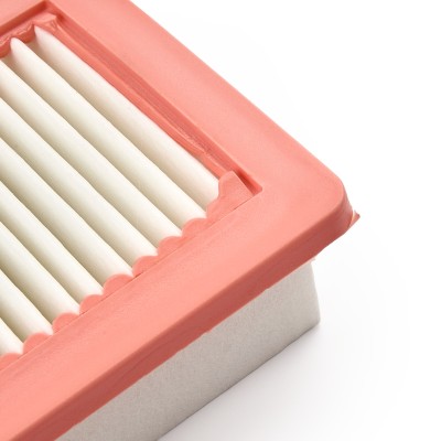 Luftfilter RIDEX 8A0734 8A0734 - foto 10