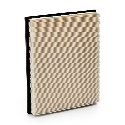 Luftfilter RIDEX 8A0266 8A0266 - foto 9