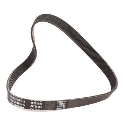 Keilrippenriemen RIDEX 305P0165P 305P0165P - foto 3