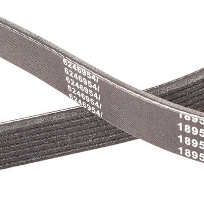 Keilrippenriemen RIDEX 305P0416P 305P0416P - foto 5