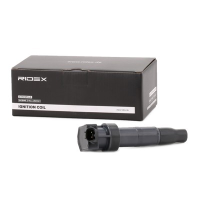 Zündspule RIDEX 689C0298 689C0298 - foto 2