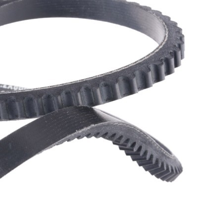 Keilriemen RIDEX 10C0014P 10C0014P - foto 5