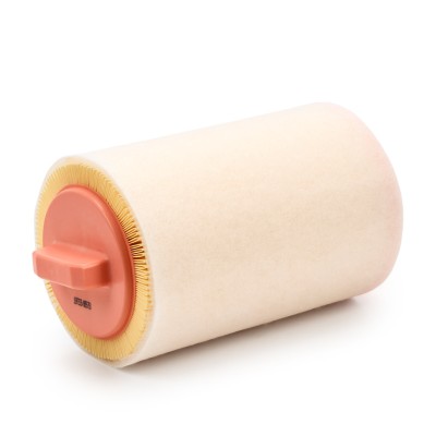 Luftfilter RIDEX 8A0322 8A0322 - foto 8
