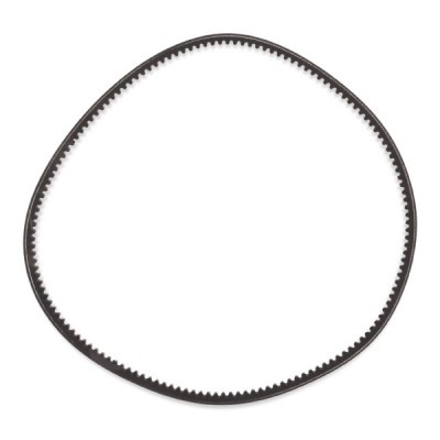 Keilriemen RIDEX 10C0036P 10C0036P - foto 4