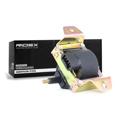 Zündspule RIDEX 689C0182 689C0182 - foto 3