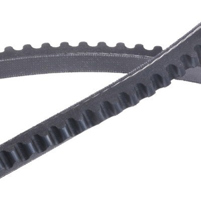 Keilriemen RIDEX 10C0105P 10C0105P - foto 5