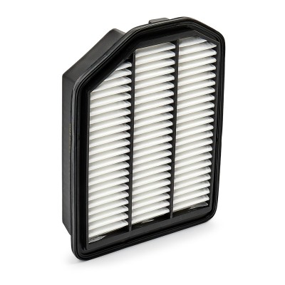 Luftfilter RIDEX 8A0355 8A0355 - foto 6