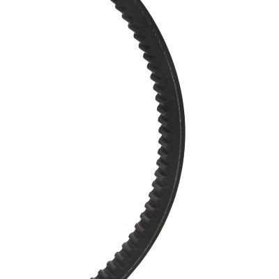 Keilriemen RIDEX 10C0077 10C0077 - foto 2
