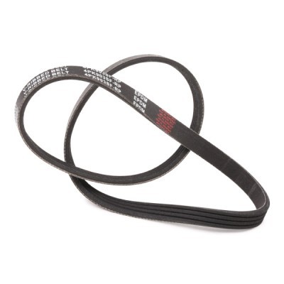 Keilrippenriemen RIDEX 305P0309P 305P0309P - foto 4
