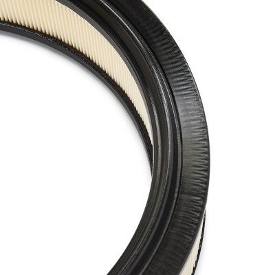 Luftfilter RIDEX 8A0127 8A0127 - foto 6