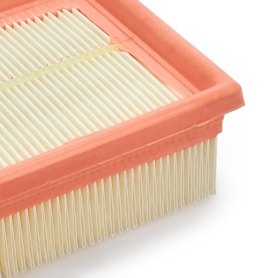 Luftfilter RIDEX 8A0021 8A0021 - foto 11
