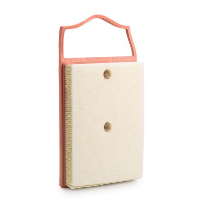 Luftfilter RIDEX 8A0641 8A0641 - foto 9