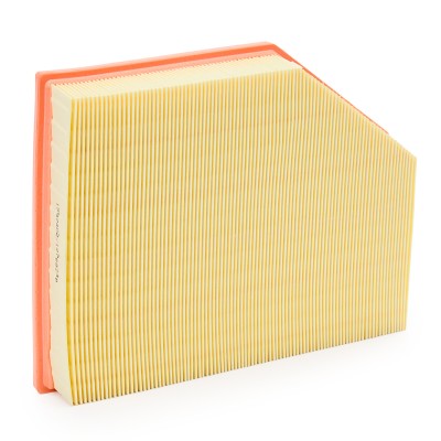 Luftfilter RIDEX 8A0669 8A0669 - foto 9