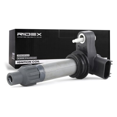 Zündspule RIDEX 689C0216 689C0216 - foto 3