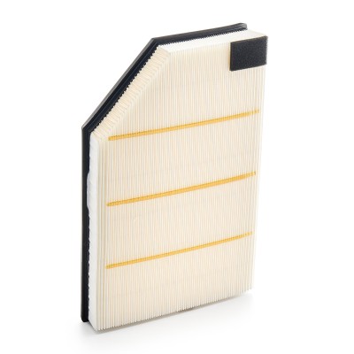 Luftfilter RIDEX 8A0170 8A0170 - foto 9