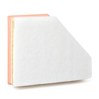 Luftfilter RIDEX 8A0032 8A0032 - foto 8