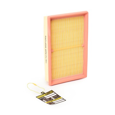 Luftfilter RIDEX 8A0205P 8A0205P - foto 2