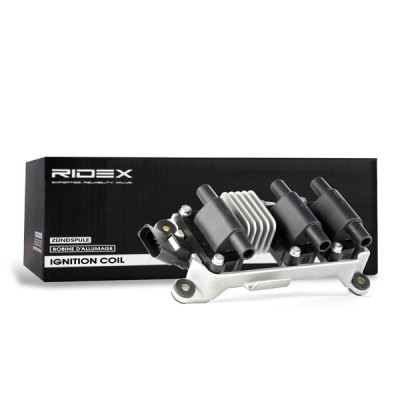 Zündspule RIDEX 689C0042 689C0042 - foto 4