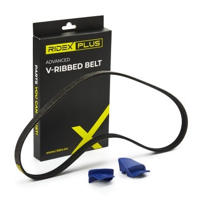 Keilrippenriemen RIDEX 305P0309P 305P0309P - foto 2