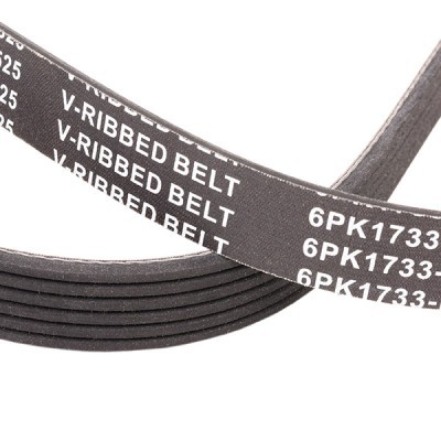 Keilrippenriemen RIDEX 305P0121P 305P0121P - foto 5
