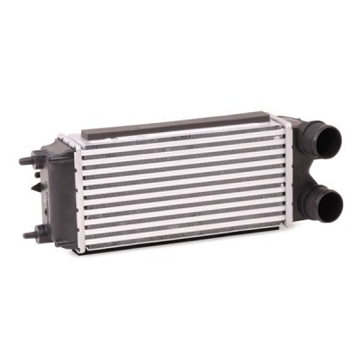 Ladeluftkühler RIDEX 468I0186 468I0186 - foto 3