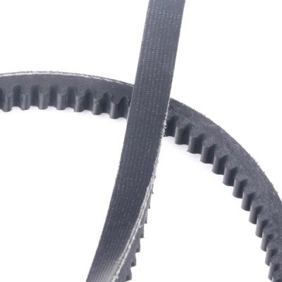 Keilriemen RIDEX 10C0047P 10C0047P - foto 5